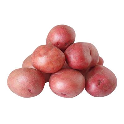  POTATOES RED FRESH PRODUCE 5 LBS : Grocery & Gourmet Food
